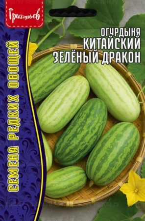 Огурдыня Китайский Зелёный Дракон (Chinese Green Dragon) (Григорьев) - Сезон у Дачи