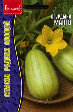Огурдыня Манго (Mango) (Григорьев) - Сезон у Дачи