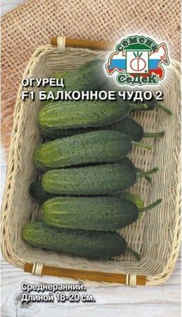 Огурец Балконное чудо 2 F1 (СеДеК) - Сезон у Дачи