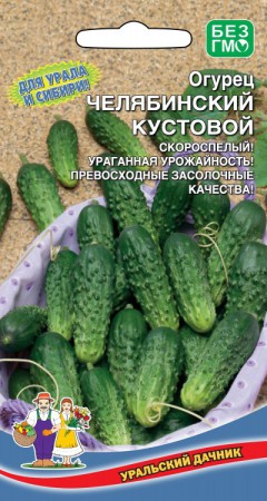 Огурец Челябинский Кустовой - Сезон у Дачи