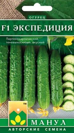 Огурец Экспедиция F1 (Манул) - Сезон у Дачи