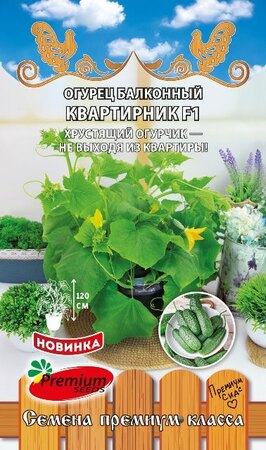 Огурец Квартирник F1 /балконный (Премиум Сидс) - Сезон у Дачи
