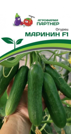 Огурец Маринин F1 (Партнер) - Сезон у Дачи