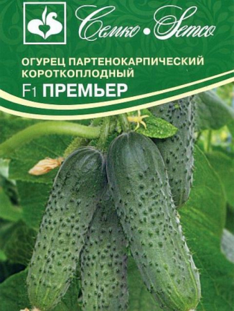 Огурец Премьер F1 (Семко) - Сезон у Дачи