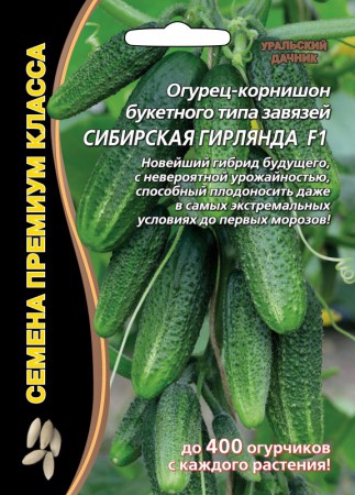 Огурец Сибирская гирлянда F1 - Сезон у Дачи
