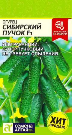 Огурец Сибирский Пучок F1 5шт (СемАлт) - Сезон у Дачи