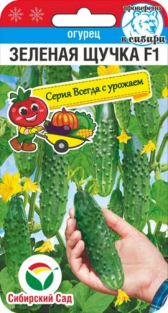 Огурец Зеленая щучка F1 (Сиб Сад) - Сезон у Дачи