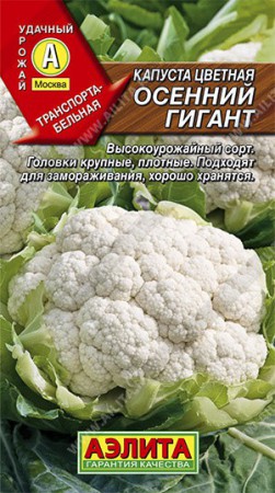 Капуста цветная Осенний гигант (Лидер) - Сезон у Дачи