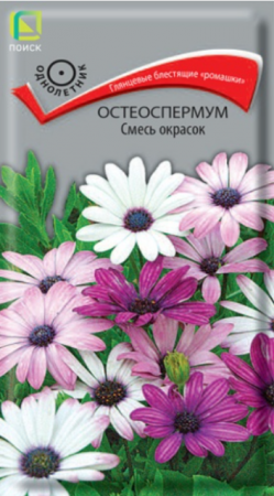 Остеоспермум Смесь окрасок (Поиск) - Сезон у Дачи
