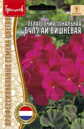 Пеларгония Булз Ай F1 Вишнёвая зональная (BullsEye Cherry) (Григорьев) - Сезон у Дачи