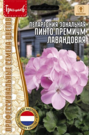 Пеларгония Пинто Премиум Лавандовая зональная (Pinto Premium Lavender) (Григорьев) - Сезон у Дачи