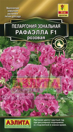 Пеларгония Рафаэлла розовая F1 - Сезон у Дачи
