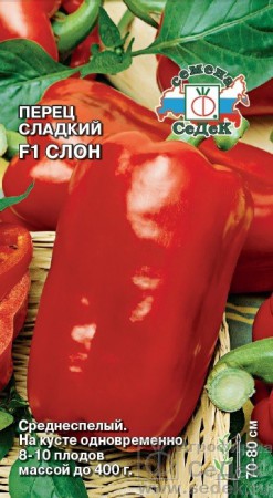 Перец сладкий Слон F1 - Сезон у Дачи