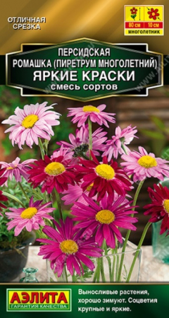 Персидская ромашка Яркие краски смесь (Аэлита) - Сезон у Дачи
