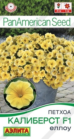 Петхоа Калиберст F1 Еллоу (Аэлита) - Сезон у Дачи