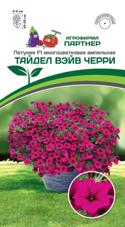 Петуния F1 ТАЙДЕЛ ВЭЙВ ЧЕРРИ - Сезон у Дачи