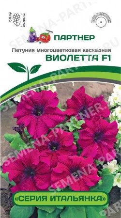 Петуния Итальянка Виолетта F1* - Сезон у Дачи