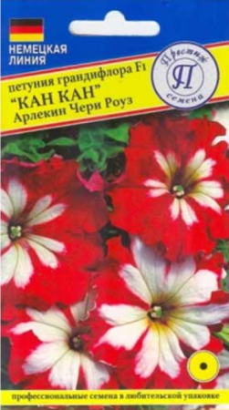 Петуния Кан-Кан Арлекин Черри роуз F1 (Престиж) - Сезон у Дачи