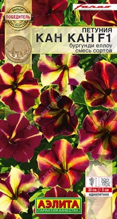 Петуния Кан Кан F1 Бургунди Еллоу смесь (Аэлита) - Сезон у Дачи