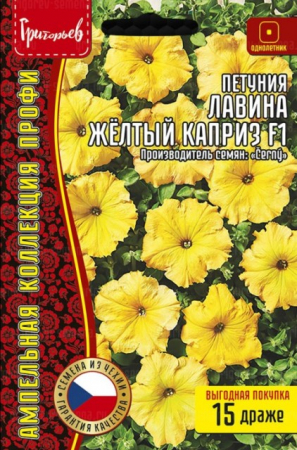 Петуния Лавина Жёлтый Каприз F1 (Avalanche Yellow Caprice) (Григорьев) - Сезон у Дачи