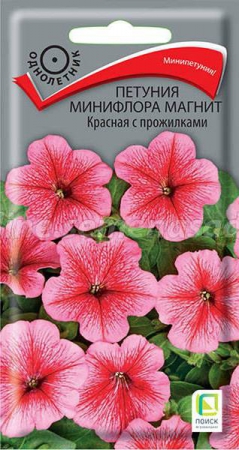 Петуния Магнит Красная с прожилками (ПОИСК) - Сезон у Дачи