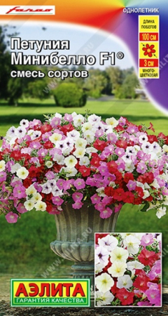 Петуния мини Минибелло F1 смесь (Аэлита) - Сезон у Дачи