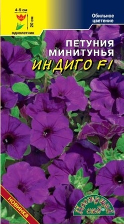 Петуния минитунья Индиго F1 (ЦС) - Сезон у Дачи