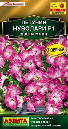 Петуния Нуволари F1 полуампельная Дасти Морн (Аэлита) - Сезон у Дачи