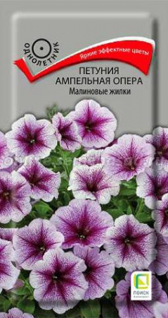 Петуния Опера малиновые жилки ампельная (ПОИСК) - Сезон у Дачи