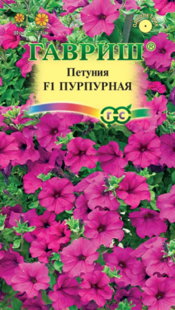 Петуния Пурпурная F1 ампельная (Гавриш) - Сезон у Дачи