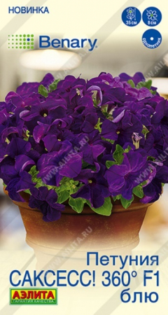 Петуния САКСЕСС! 360 F1 Блю (Аэлита) - Сезон у Дачи