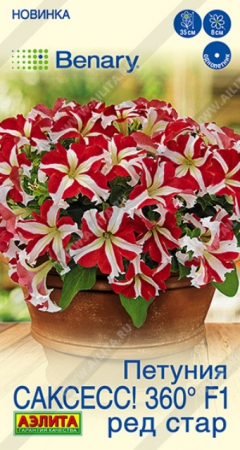 Петуния САКСЕСС! 360 F1 Ред Стар (Аэлита) - Сезон у Дачи