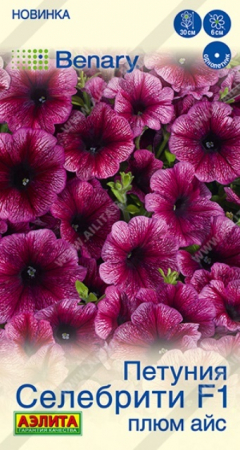 Петуния Селебрити F1 Плюм Айс многоцветковая (Аэлита) - Сезон у Дачи