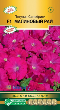 Петуния СЕЛЕБРИТИ Малиновый рай F1 многоцветковая (Евросемена) - Сезон у Дачи