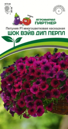 Петуния Шок Вэйв Дип Перпл F1 (Партнер) - Сезон у Дачи
