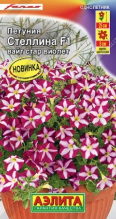 Петуния Стеллина F1 Вайт Стар Виолет (Аэлита) - Сезон у Дачи
