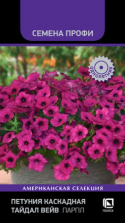 Петуния Тайдал Вейв Парпл /Семена Профи (Поиск) - Сезон у Дачи