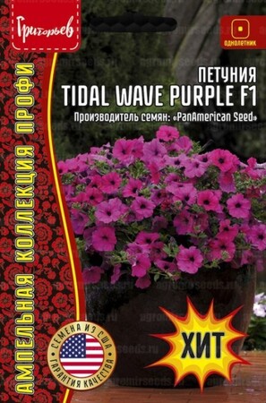 Петуния Tidal Wave Purple F1 ампельная - Сезон у Дачи