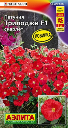 Петуния Трилоджи F1 Скарлет полуампельная (Аэлита) - Сезон у Дачи