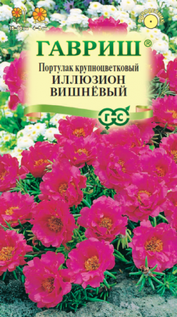 Портулак Иллюзион вишневый (Гавриш) - Сезон у Дачи