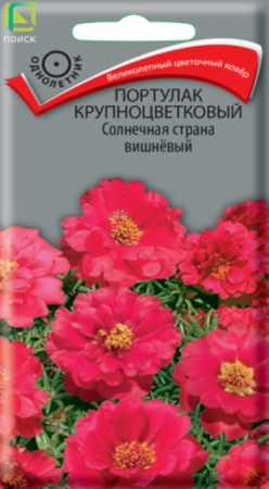 Портулак Солнечная страна вишнёвый крупноцветковый (ПОИСК) - Сезон у Дачи