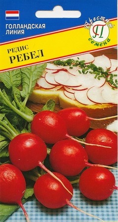 Редис Ребел (Престиж) - Сезон у Дачи