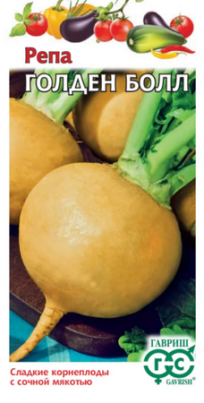 Репа Золотой Шар (Гавриш) - Сезон у Дачи