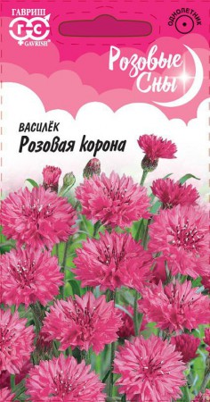 Василек Розовая корона - Сезон у Дачи