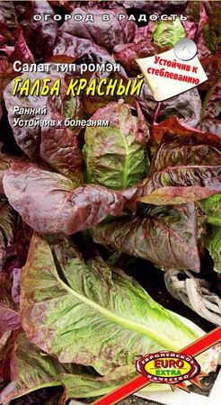 Салат Галба красный (Ромэн) (Аэлита Экстра) - Сезон у Дачи