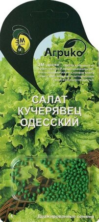 Салат Кучерявец Одесский 100 ЭМдражже (Агрико) - Сезон у Дачи