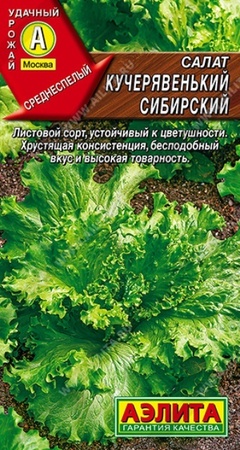 Салат листовой Кучерявенький сибирский (Аэлита) - Сезон у Дачи