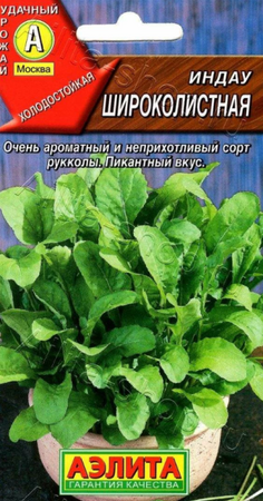 Салат Рукола Крупнолистная (Аэлита) - Сезон у Дачи