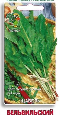 Щавель Бельвильский (Поиск) - Сезон у Дачи