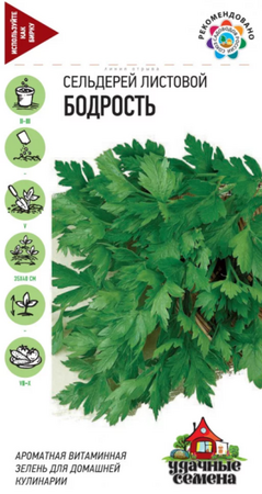 Сельдерей листовой Бодрость /УС (Гавриш) - Сезон у Дачи